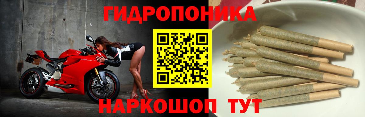 Конопля индика Кировск